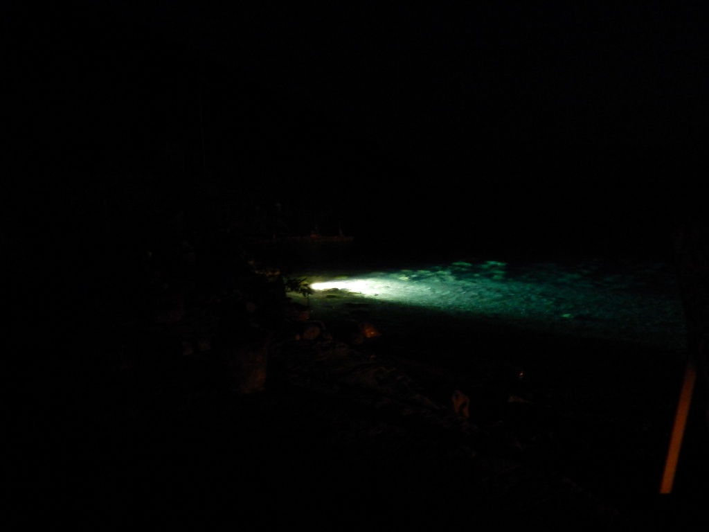 Подсветка моря. Чудесный вид морского дна